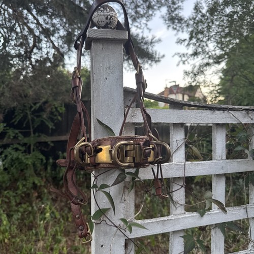 Heavy draft horse decorative - draft,
