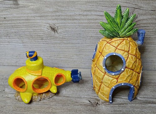 Spongebob aquarium fish tank - spongebob,