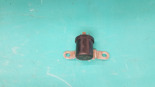 Original jaguar series - jaguar, 2