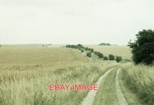 PHOTO  MOD LAND NEAR CHITTERNE