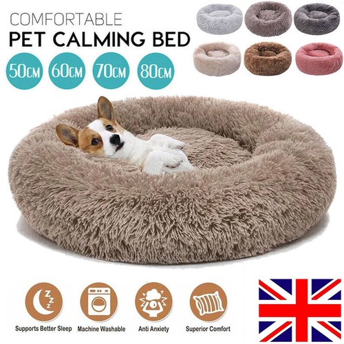 Extra large washable - washable, cat