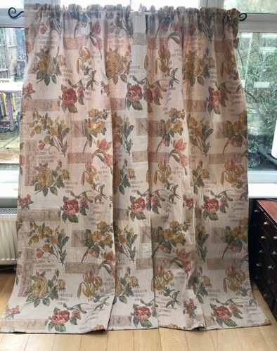 Vintage peony botanical - peony,