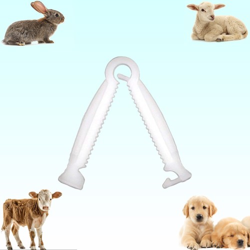 10pcs umbilical cord - 10pcs, clamps