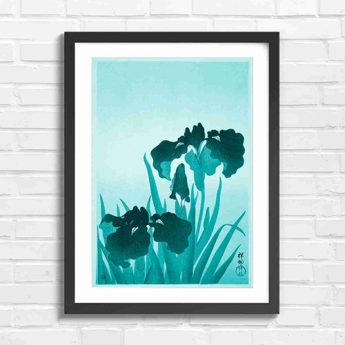 Deep blue japanese iris blooms - blue,