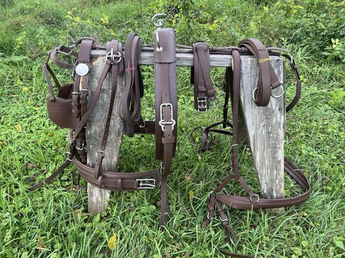 Leaders tech pleasure - tech, harness