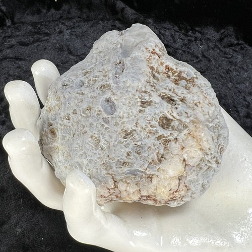 Unopened geode chalcedony - 3",
