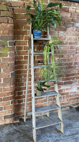Large antique wooden - antique,