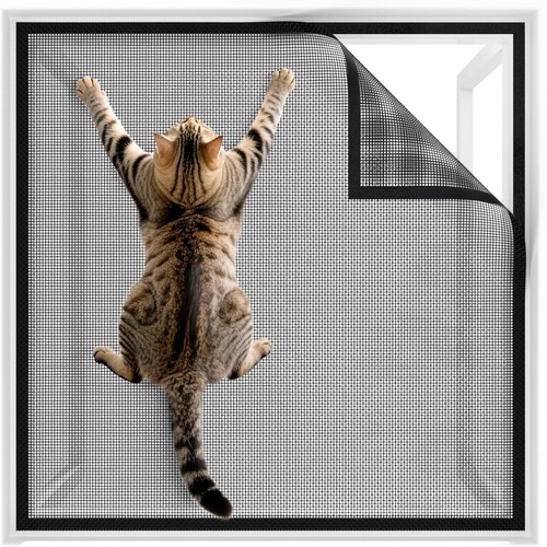 Window fly screen cat - screen,