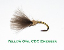 Yellow owl silver - silver, owl,
