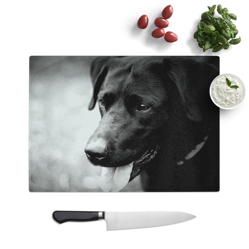 Black labrador dog - labrador, glass