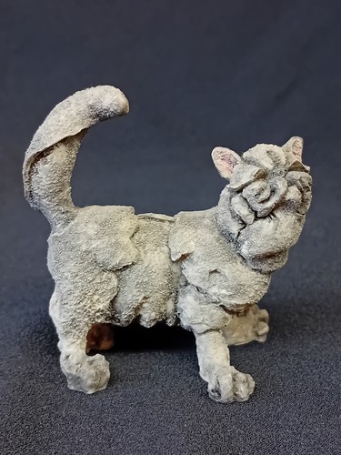 Breed apart persian - breed,