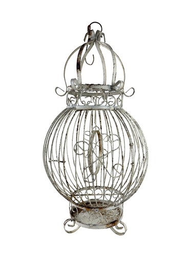 Vintage large dome globe bird - globe,