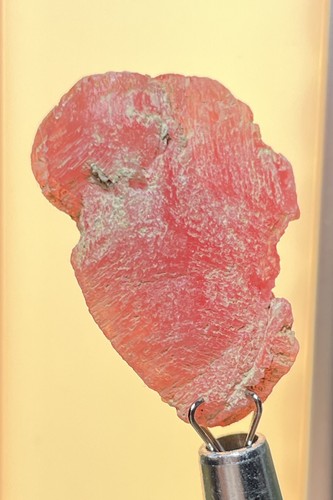 Rhodochrosite specimen - rhodochrosite,