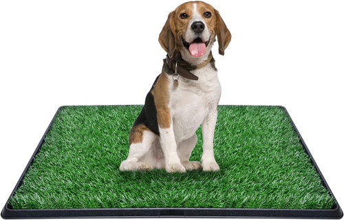 Dog toilet tray with - dog,