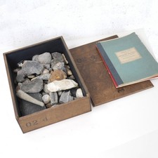 Vintage Collection Fossils Ammonite Petrified Wood Box Book #102947