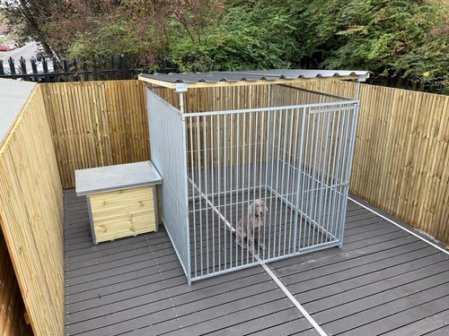 Dog run caging - dog, bundle