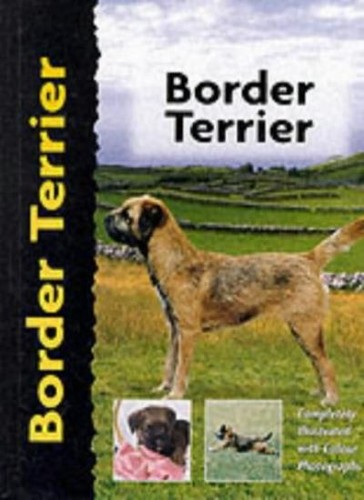 Border terrier by - terrier,