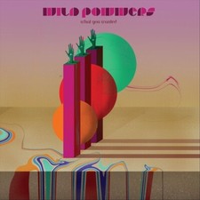 Wild Powwers : What You Wanted VINYL 12" Album (2023) ***NEW*** Amazing Value