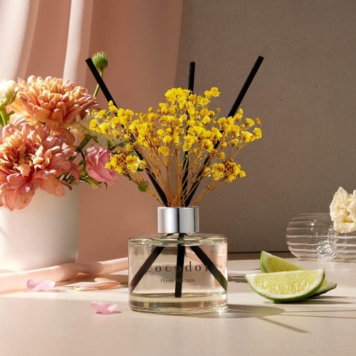 Reed diffuser set - reed, set,essential