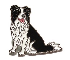 Border Collie Herding Working