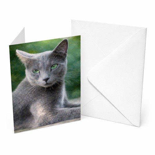Russian blue cat a5 - blue,