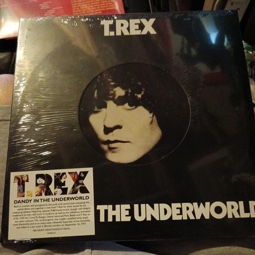 Rex dandy in the - t-rex,