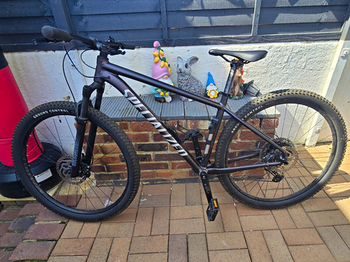 Specialized rockhopper comp - specialized,