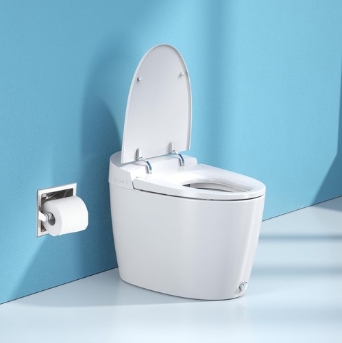 Recessed toilet paper holder - recessed,