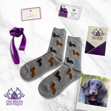 LONG HAIRED DACHSHUND SOCKS