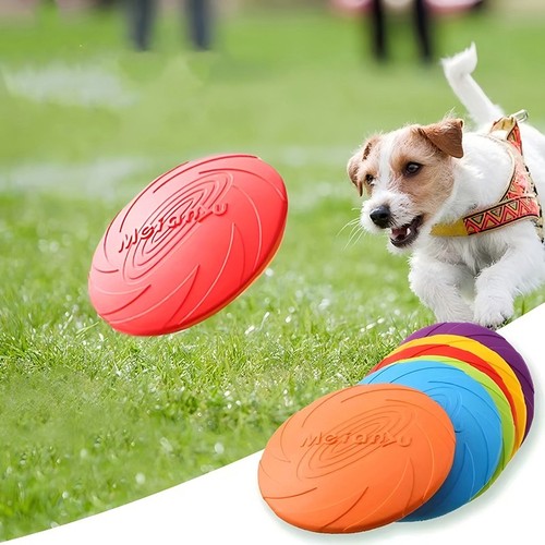 Pet dog flying disc ring - flying,
