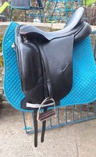 Albion slk dressage - slk,