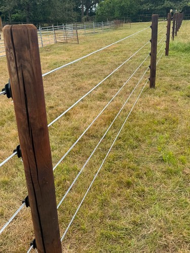 Equiwire electric horse fence - horse,