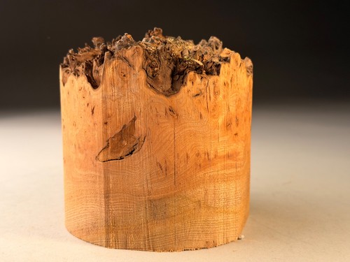Live edge burr elm resin - elm,