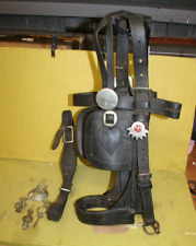 horse brasses  Scottish decorated Bridle with  spare Nickel Brasses