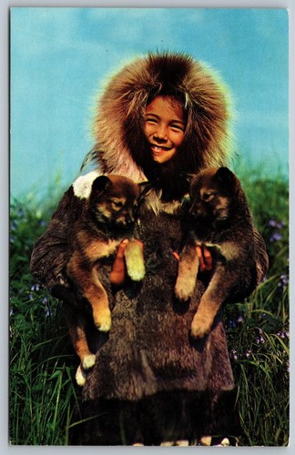 Alaskan eskimo and friends - alaskan,