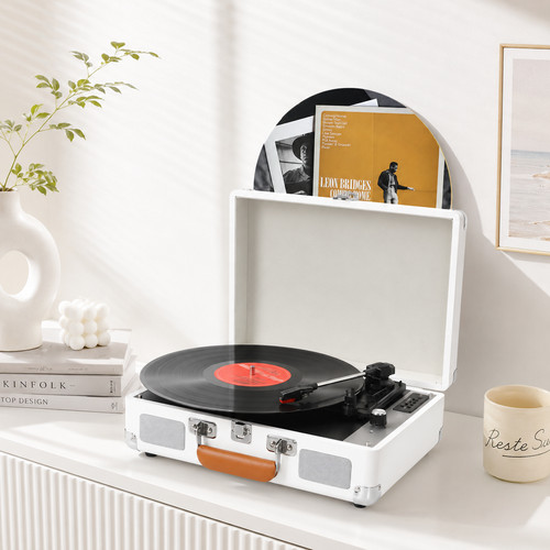 Portable vinyl record player - portable,