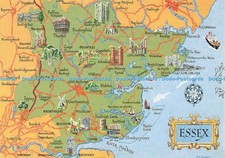 D253201 Essex J Salmon