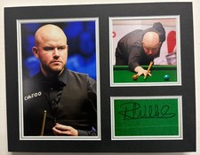 Professional Snooker Player