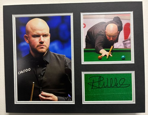 Professional snooker player - snooker,