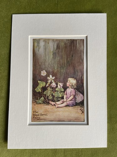 Wood sorrel flower fairy - ‘wood,