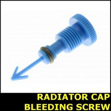 Radiator Cap Bolt Bleeding