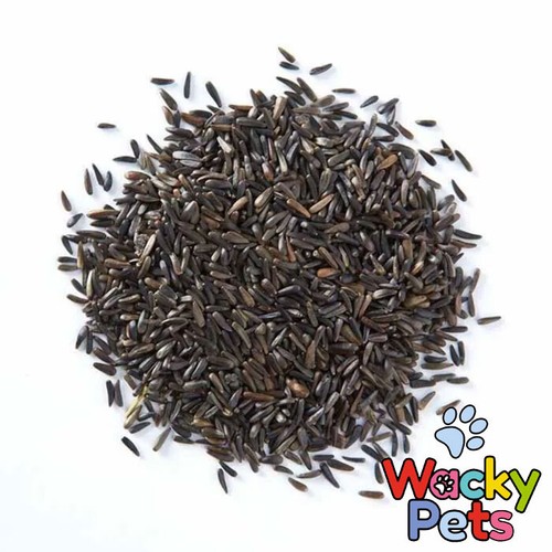 Niger nyjer seed for - niger,