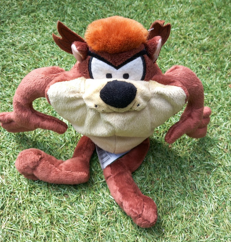 Looney tunes taz - tunes, soft