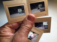 4X 35 mm SLIDE vintage BEARS