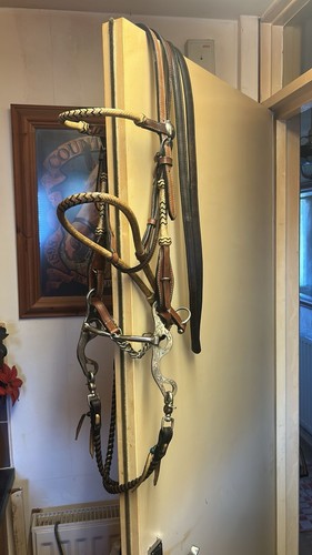 Western bridle - western,