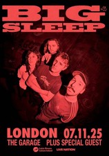 BIG SLEEP (band) Pick A Cheek