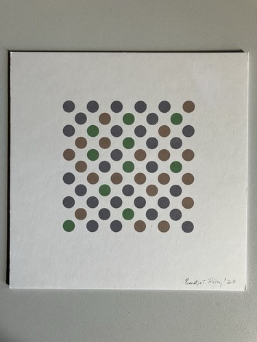 Bridget riley exhibition - bridget,