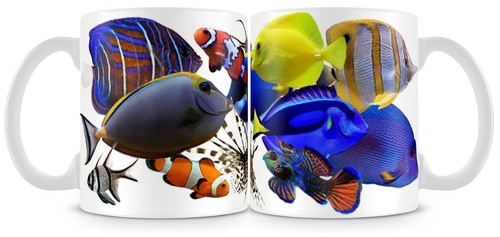 Marine fish mug clown lion - fish,