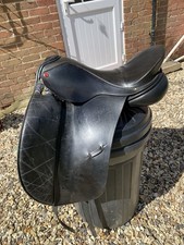 Albion Style SL Dressage