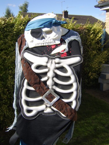 Halloween pirate skeleton - pirate,